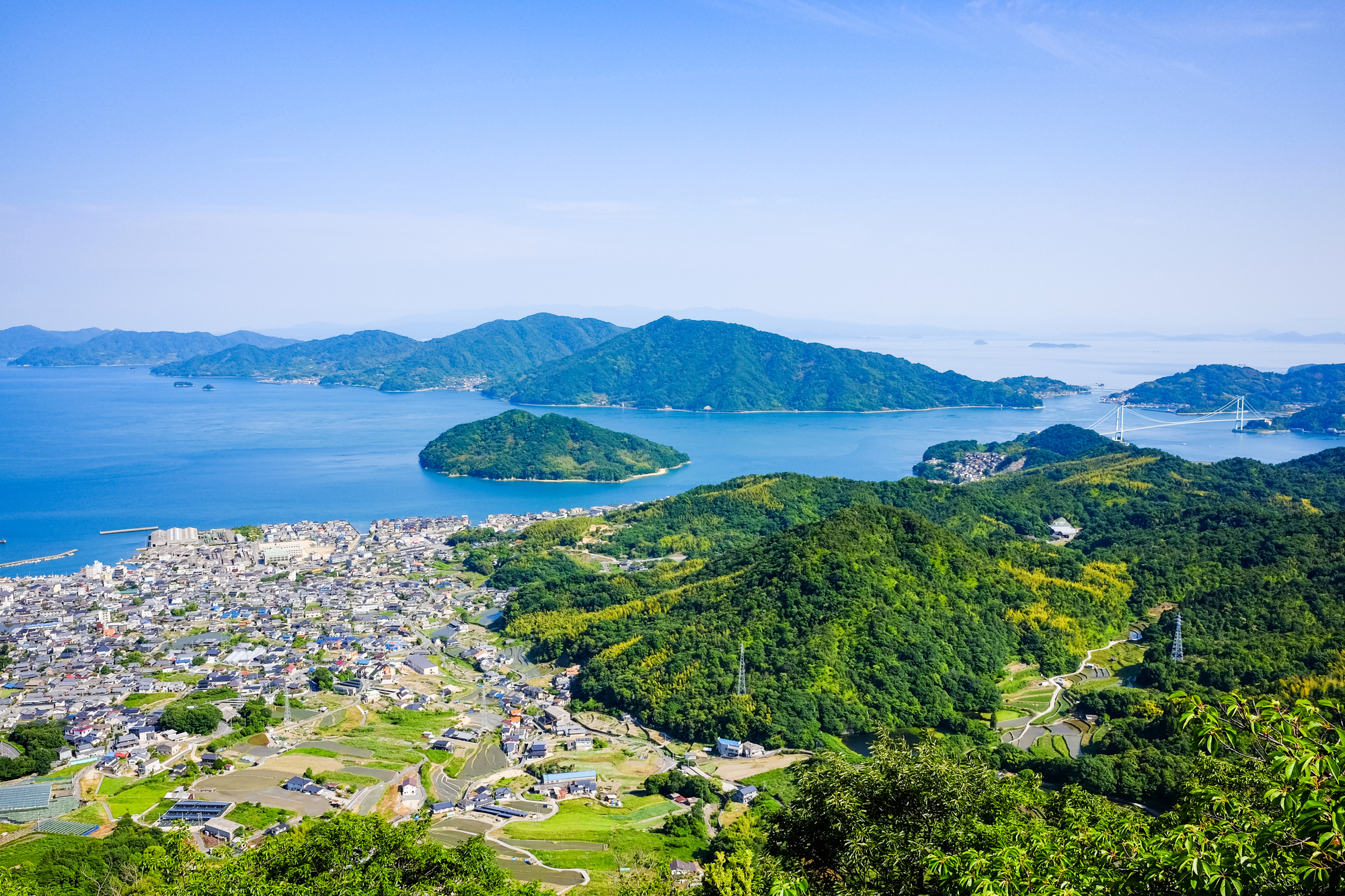 広島で農業を行う当社はトマトを栽培します